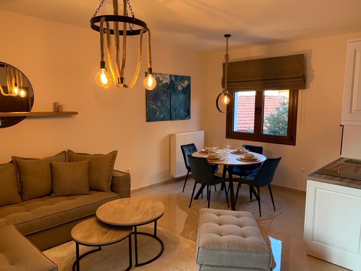 Divine Meteora Luxury Midtown Apartment Kalambaka Eksteriør billede
